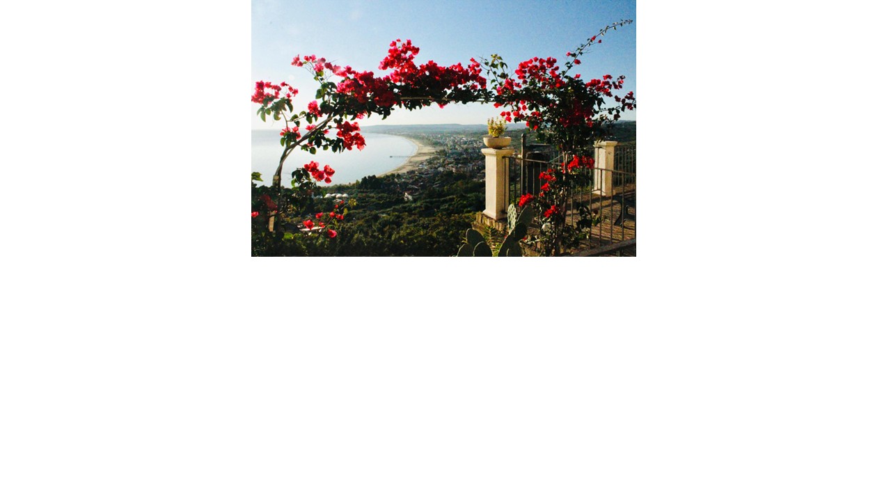 pwp image vasto 2.jpg